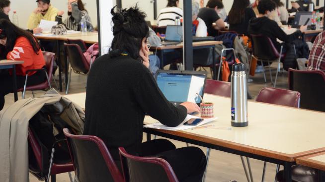 Estudiante en la Biblioteca de Puan. 